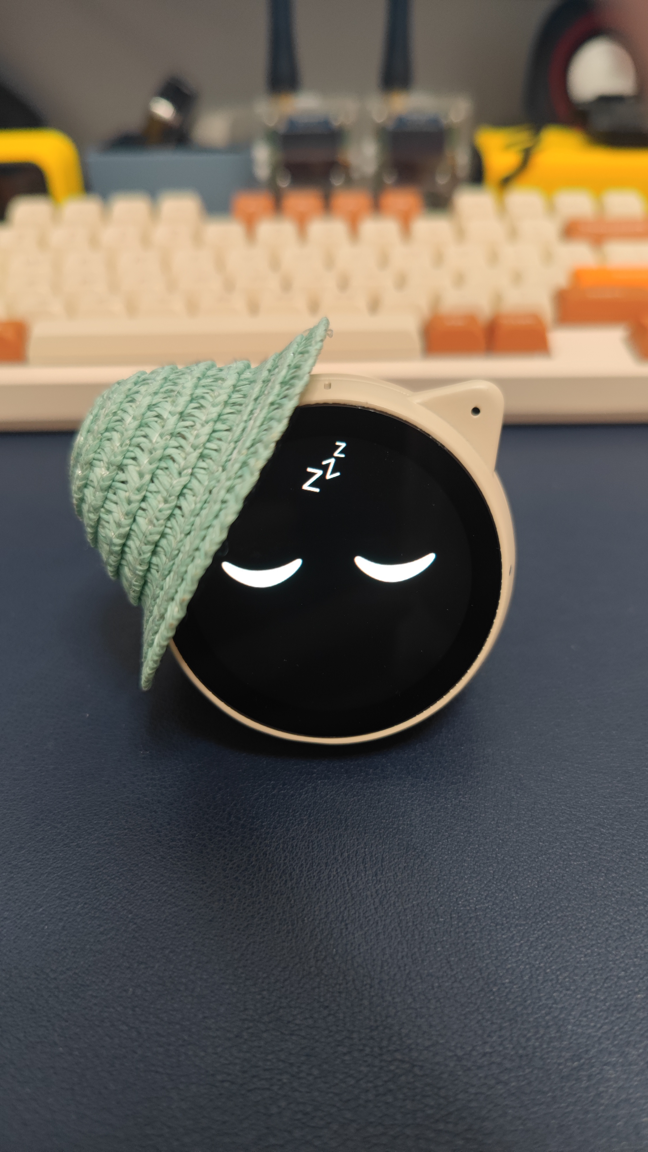 戴毛线帽的 EchoEar 喵伴
